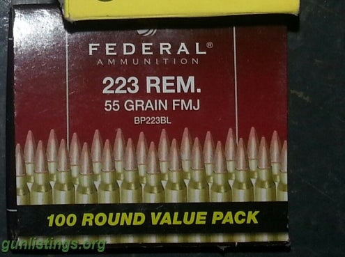 Ammo 223 FMJ Box Of 100