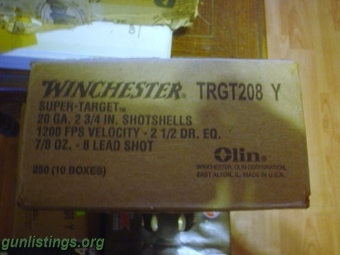 Ammo Case Of 20ga Shotgun Shells