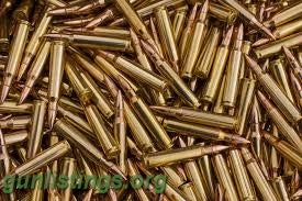 Ammo Reloaded 5.56 Rounds