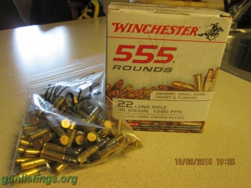 Ammo Winchester 22LR Ammo
