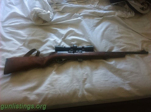 Collectibles Of Mossberg And Sons 22lr