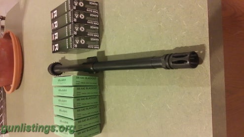 Misc 300 BLK Barrel With Ammo