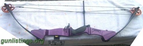 Misc SOLD / TRADED -- BROWNING HEAT - 7EH27 - COMPOUND BOW