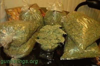 Misc Premium Indoor Medical Marijuana Strains Available