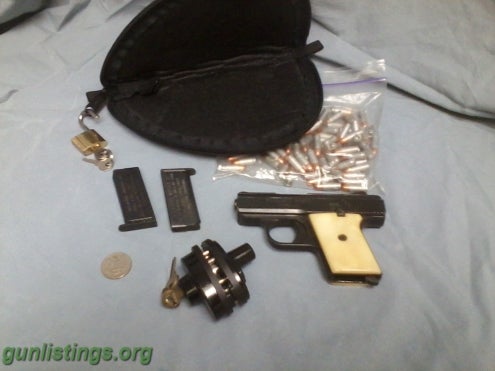 Pistols 25 Cal Raven Gun/Ammo/Acces