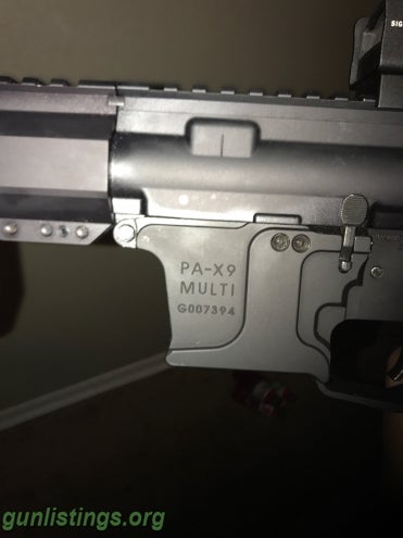 Pistols Palmetto State AR 9