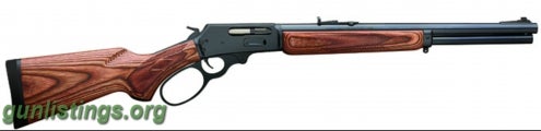 Rifles 1895 GBL 45-70