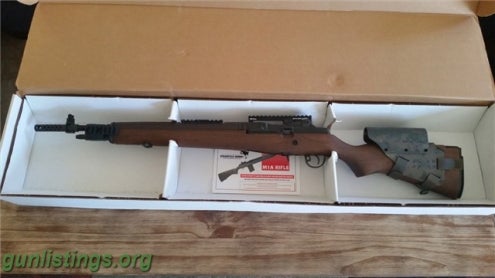 Rifles Springfield M1A Scout Squad