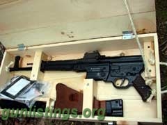 Rifles STG-44  SCHMEISSER  22LR