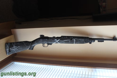 Rifles Chippa M-1 22