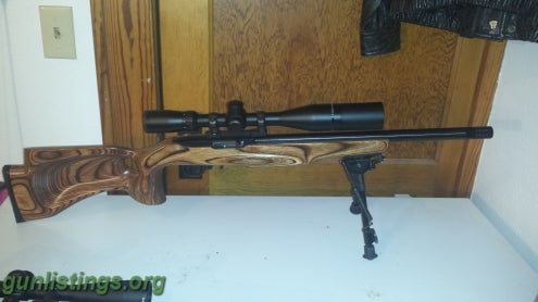 Rifles Custom 10-22