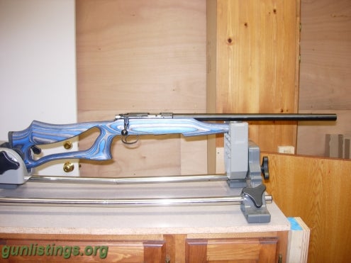 Rifles CZ 455 VARMINT EVOLUTION 22LR BLUE LAM BOYDS