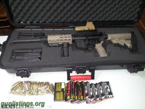 Rifles DPMS AR W/ Tapco Furniture, Plano Case, Mags, And Ammo