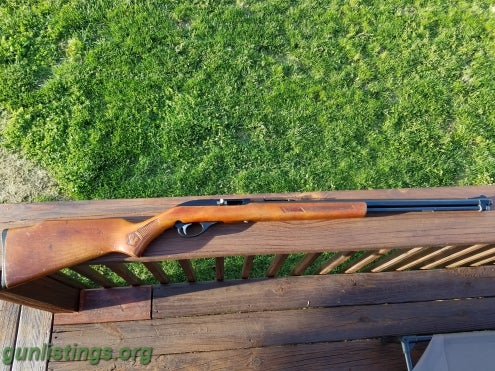 Rifles Glenfield/Marlin Model 60