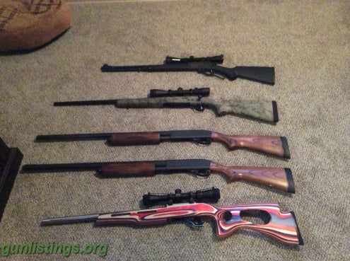 Rifles Guns