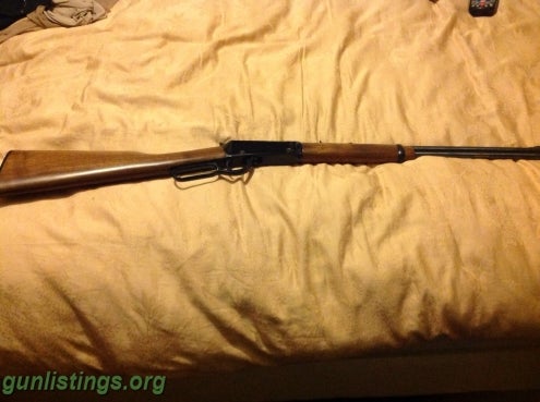 Rifles Henry 22 LR