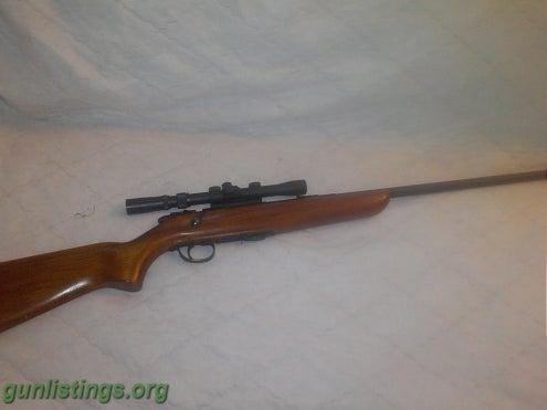 Rifles Remington 511- 22lr