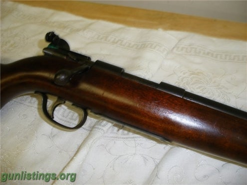 Rifles Remington 511-P