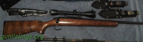 Rifles Remington 788 .243