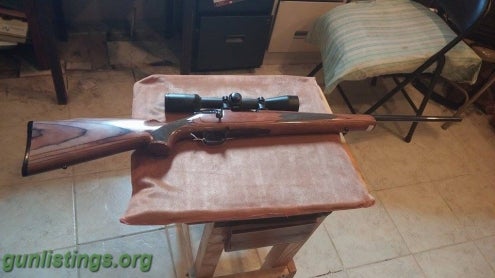 Rifles Remington Model 799 22.250 Lam With 3X9 Burris