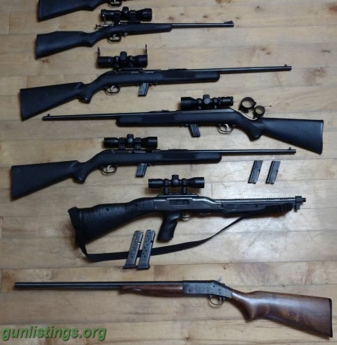 Rifles Rifles, Four 22's, One NE 20ga, (five Guns)