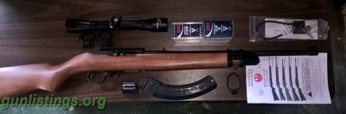 Rifles Ruger 10/22  + Extras