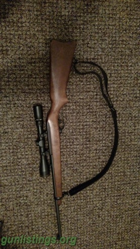 Rifles Ruger 10/22 Magnum