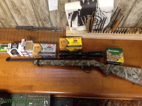 Rifles Ruger 10/22 With High Quality Scope And Ammo.