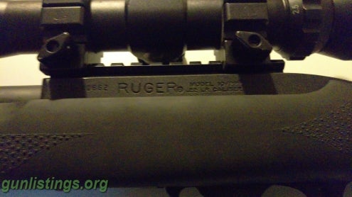 Rifles Ruger 10/22 With Upgrades