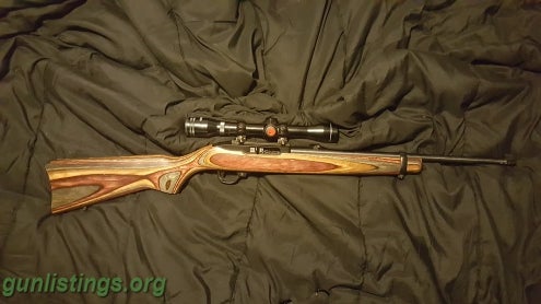 Rifles Ruger 10 22