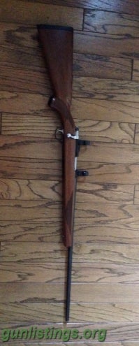 Rifles Ruger M77 / 17 HMR  W/Rings