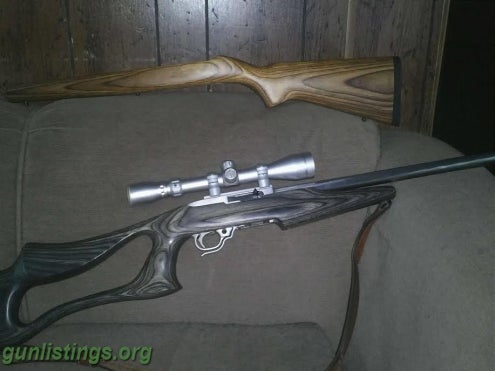 Rifles S.S Ruger 10/22