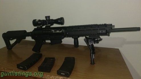 Rifles SIG556 DMR