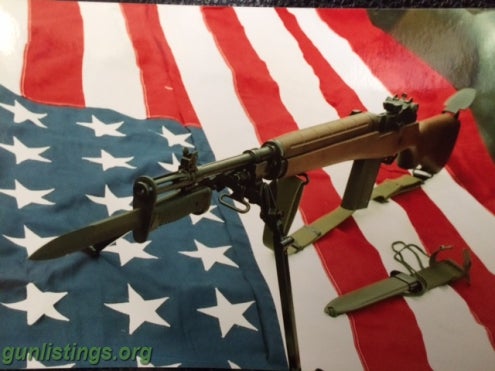 Rifles Springfield Armory Version M1A National Match