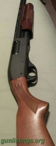 Shotguns Remington 870 Express 12ga