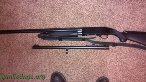 Shotguns Winchester 1300 12 Ga