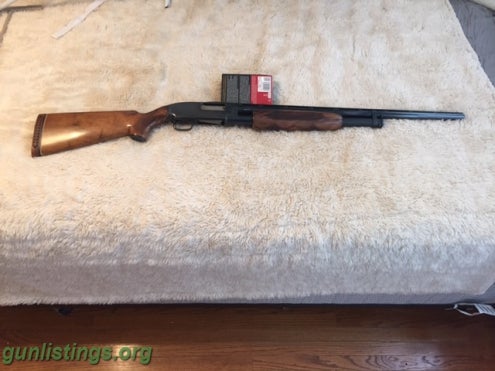 Shotguns Winchester Model 12- 12 Gauge
