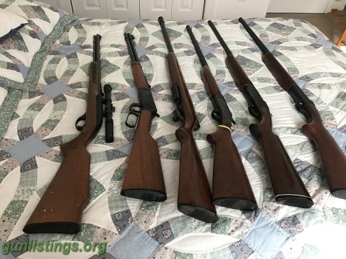 Shotguns Winchester Rifle
