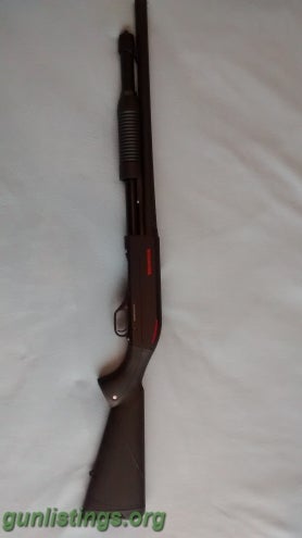 Shotguns Winchester Sxp 3