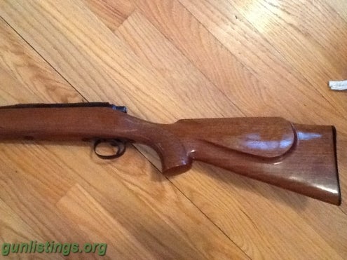 Collectibles Remington Model 700 .22