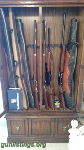 Misc Gun Cabinet