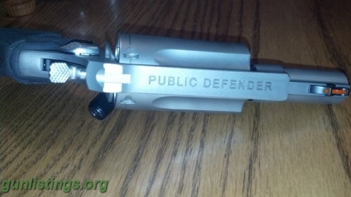 Pistols Taurus Public Defender