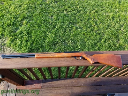 Rifles Glenfield/Marlin Model 60