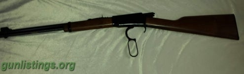 Rifles Henry 22
