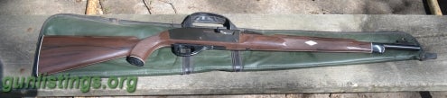 Rifles Nylon 66 Remington, Whippet Stevens .22 Single,