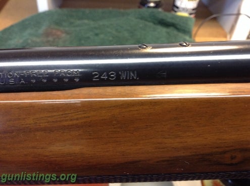 Rifles Remington 7400 .243