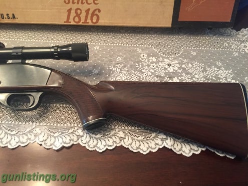 Rifles Remington Nylon 66 22 Rifle