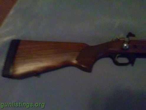 Rifles Ruger .308 Scout Riffle