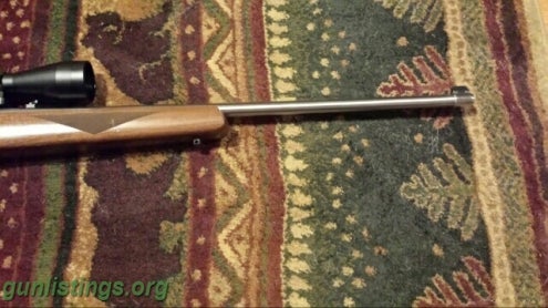 Rifles Ruger 10-22 Deluxe Stainless W Scope And Ammo