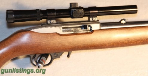 Rifles Ruger 10/22 Stainless